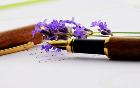 fountain pen fountain pen